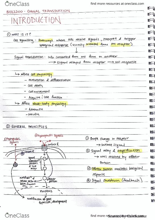 BIOL2200 Lecture 4: biol2200 signal transduction thumbnail