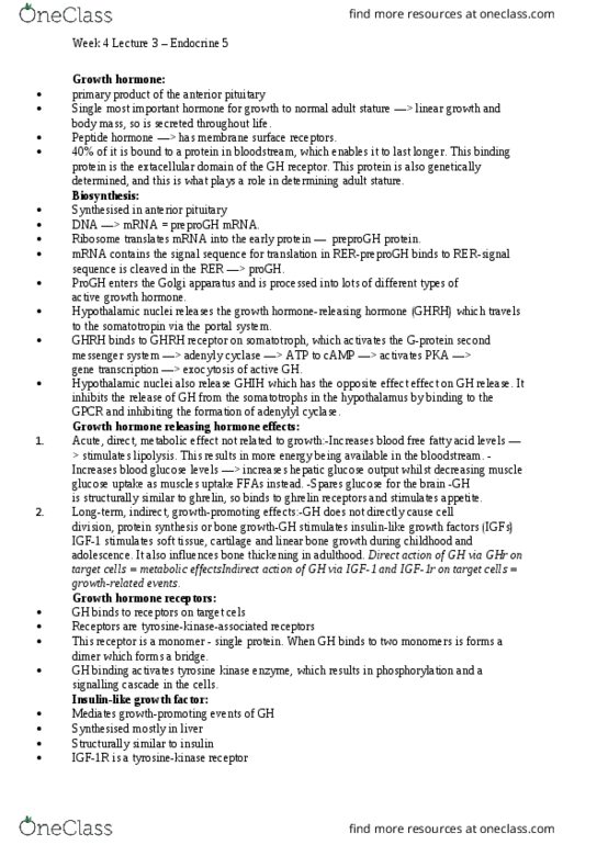 MEDI211 Lecture Notes - Lecture 3: Extracellular Matrix, Periosteum, Osteoblast thumbnail