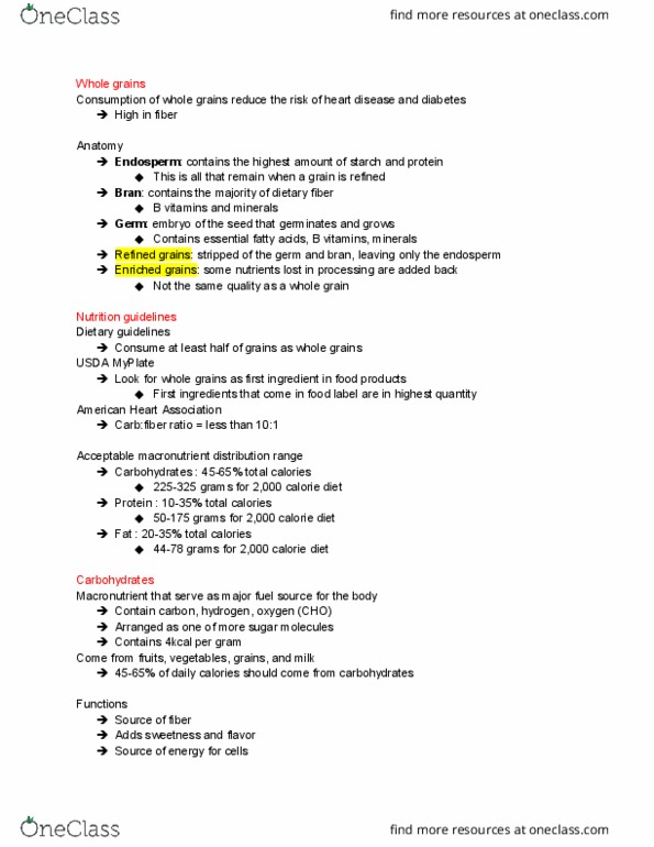 ESS 3 Lecture Notes - Lecture 3: Disaccharide, Maltose, Maltase thumbnail