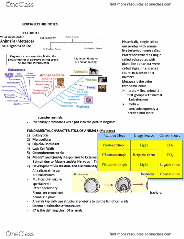 BIOB34H3 Lecture Notes - Lecture 1: Phospholipid, Glycogen, Gastrulation thumbnail