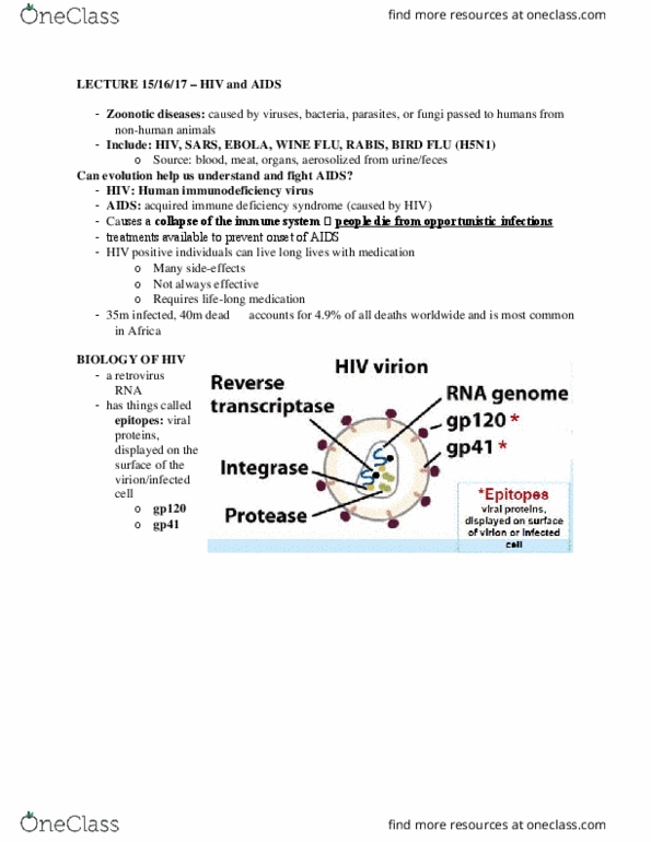 BIOB51H3 Lecture Notes - Lecture 15: Macrophage, Mutation Rate, Thymidine thumbnail