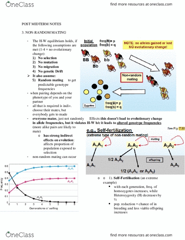 BIOB51H3 Lecture Notes - Lecture 13: Extinction Vortex, Heterozygote Advantage, Habitat Destruction thumbnail