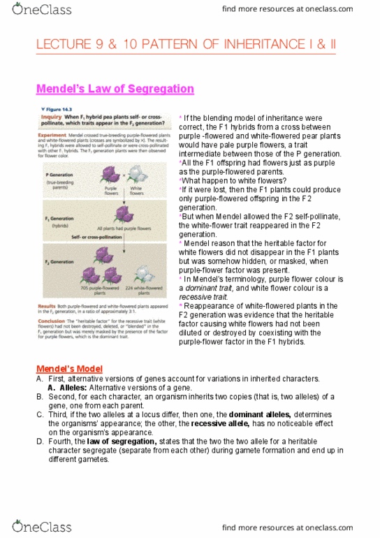 BIO1011 Lecture Notes - Lecture 9: Quantitative Trait Locus, Y Chromosome, Haemophilia thumbnail