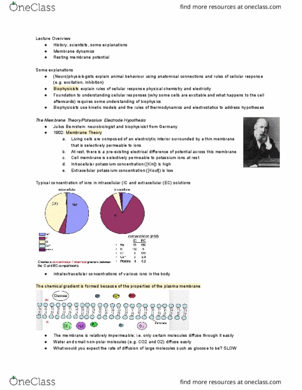 BIOC32H3 Lecture Notes - Lecture 2: Galvanic Cell, Homeostasis, Sodium-Potassium Alloy thumbnail