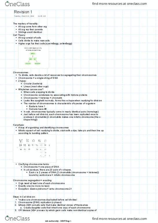 BIOL 112 Lecture Notes - Lecture 1: Cytokinesis, Cyclin E, Macrophage thumbnail