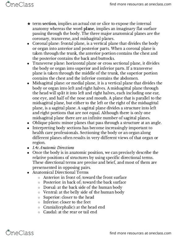 BMS 250 Chapter Notes - Chapter 1: Anatomical Terms Of Location, Toe, Perineum thumbnail