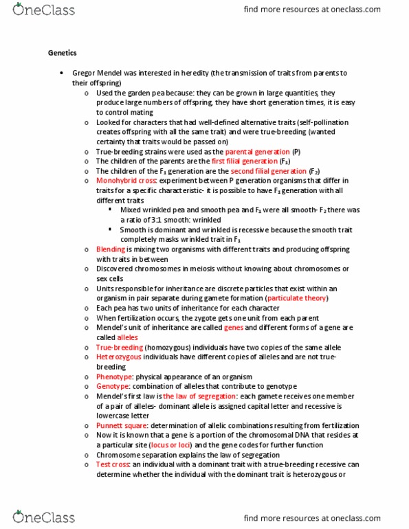 BIOL 142 Lecture Notes - Lecture 7: Gregor Mendel, Punnett Square, Pea thumbnail