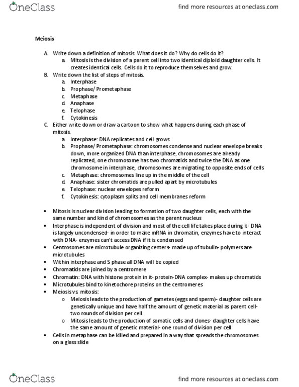 BIOL 142 Lecture Notes - Lecture 5: Sister Chromatids, Nuclear Membrane, Ploidy thumbnail