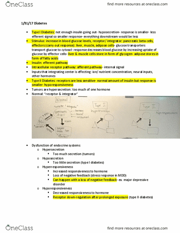 BIOL 336 Lecture Notes - Lecture 14: Receptor Tyrosine Kinase, Diabetes Mellitus Type 1, Major Depressive Disorder thumbnail
