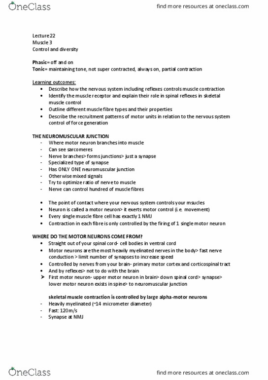 IMED1001 Lecture Notes - Lecture 22: Golgi Tendon Organ, Upper Motor Neuron, Neuromuscular Junction thumbnail