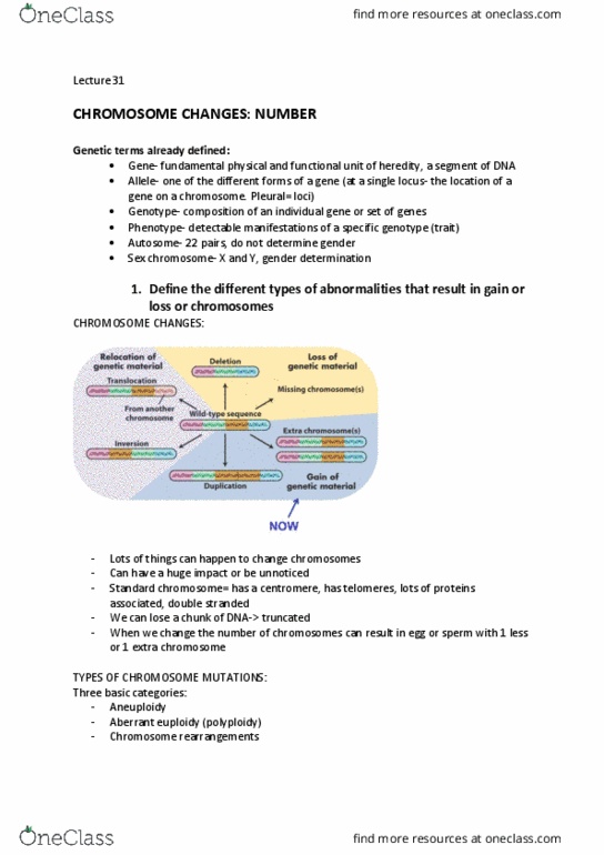 IMED1002 Lecture Notes - Lecture 31: Allosome, Aneuploidy, Polyploid thumbnail