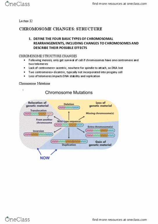 document preview image