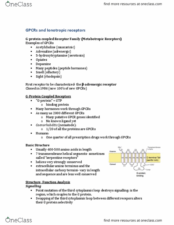 PHA 4107 Lecture Notes - Lecture 5: N-Terminus, Ligand-Gated Ion Channel, Rhodopsin thumbnail