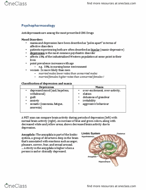 PHA 4107 Lecture Notes - Lecture 9: Monoamine Oxidase, Tricyclic Antidepressant, Tyramine thumbnail