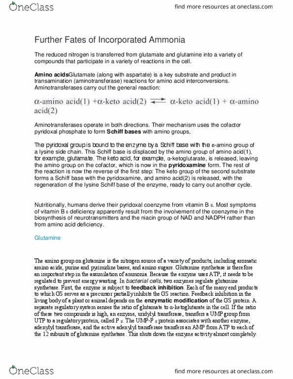 CH 461 Lecture Notes - Lecture 18: Glutamine Synthetase, Aromatic Amino Acids, Pyridoxal Phosphate thumbnail