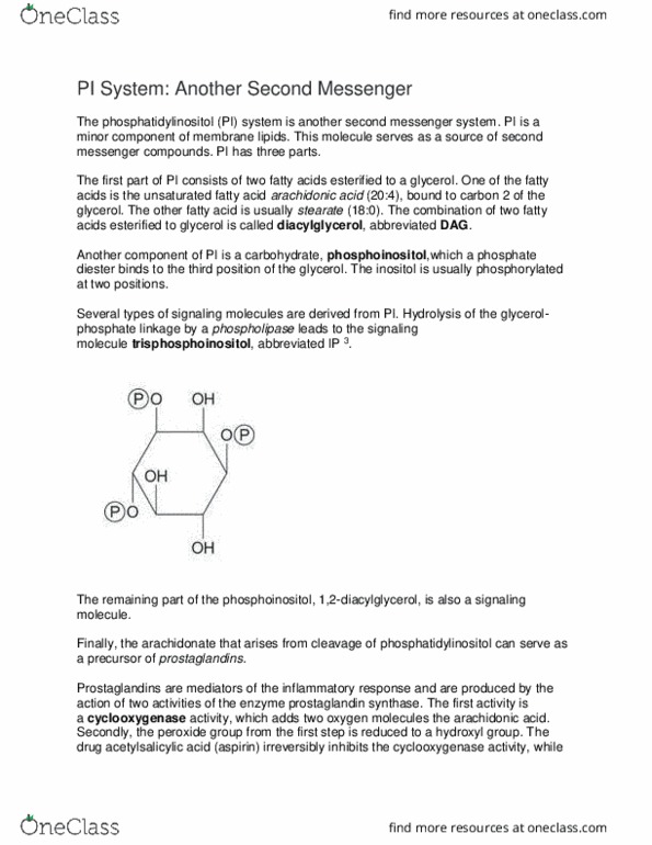 CH 461 Lecture Notes - Lecture 30: Phosphorylase Kinase, Inositol Phosphate, Endoplasmic Reticulum thumbnail