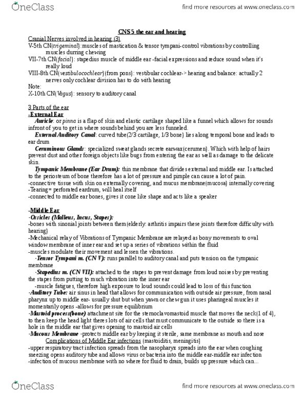 HTHSCI 1H06 Chapter Notes -Mastoid Cells, Upper Respiratory Tract Infection, Ear Canal thumbnail