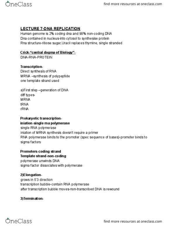 300816 Lecture Notes - Lecture 7: Ribosomal Rna, Transfer Rna, Acetyl Group thumbnail