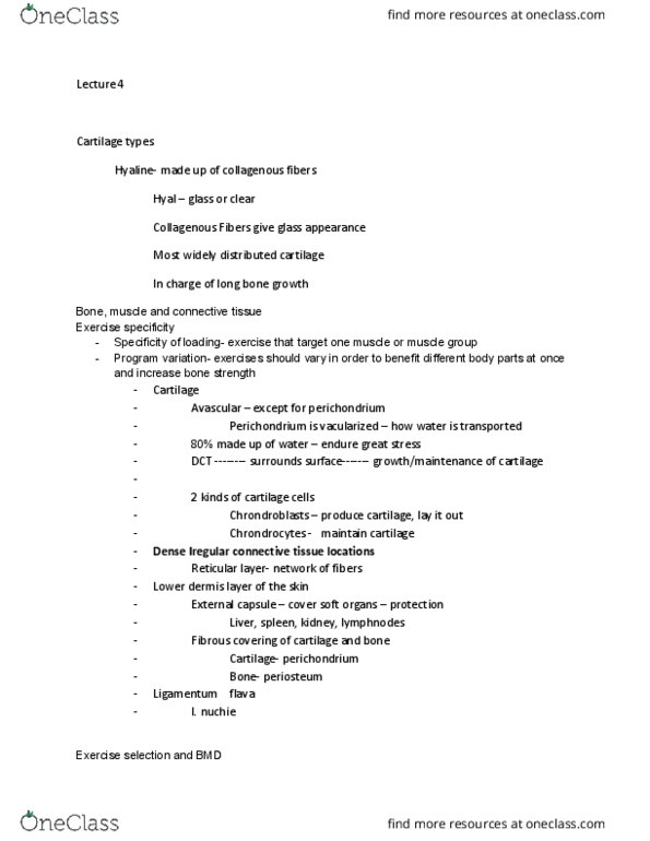 EHS 240 Lecture Notes - Lecture 20: Hyaline Cartilage, External Capsule, Perichondrium thumbnail