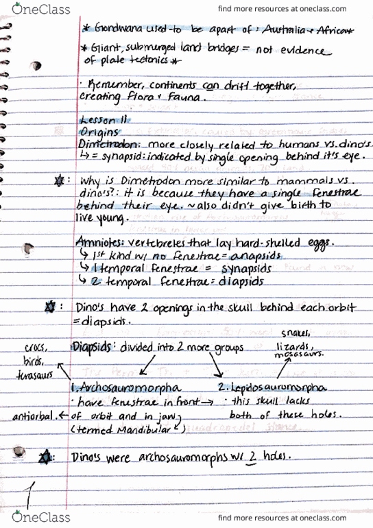 PALEO200 Final: PALEO 200 FINAL EXAM REVIEW 5/5 - OneClass