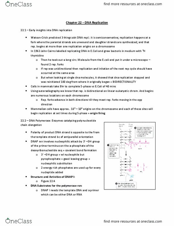 BIOCHEM 2EE3 Chapter Notes - Chapter 22: Nucleophilic Substitution, Escherichia Coli, Nucleophile thumbnail