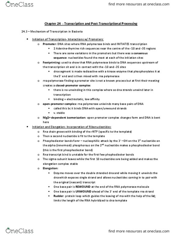 BIOCHEM 2EE3 Chapter Notes - Chapter 24: Phosphodiester Bond, Consensus Sequence, Base Pair thumbnail