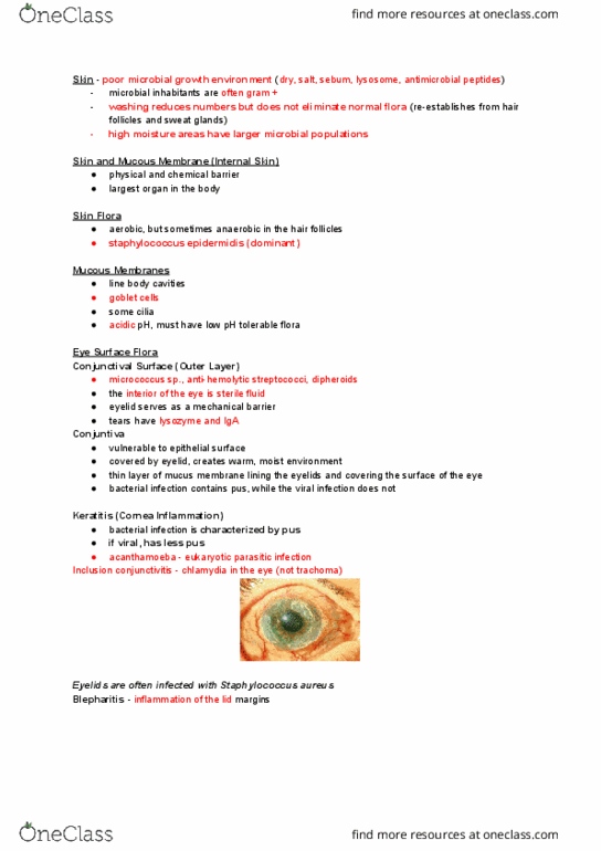 MMI133 Lecture Notes - Lecture 22: Staphylococcus Epidermidis, Human Microbiota, Blepharitis thumbnail
