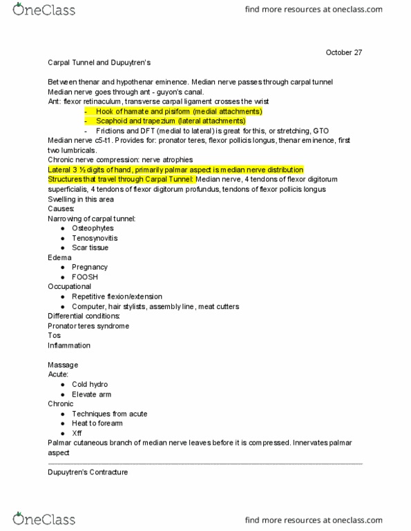 MTST-281 Lecture Notes - Lecture 7: Flexor Pollicis Longus Muscle, Flexor Digitorum Profundus Muscle, Flexor Digitorum Superficialis Muscle thumbnail