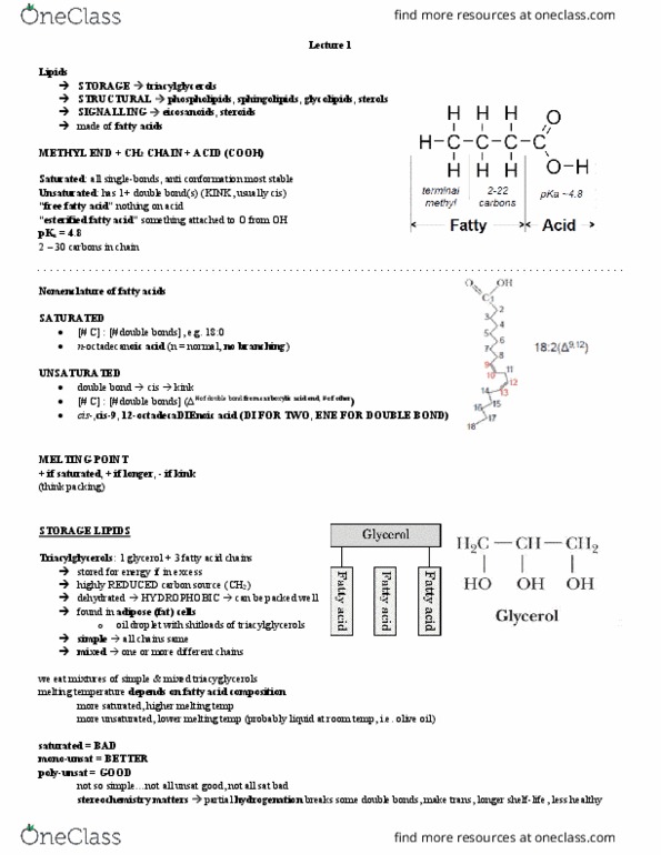 BCH210H1 Lecture Notes - Lecture 13: Olive Oil, Triglyceride, Sphingolipid thumbnail