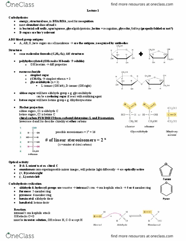 BCH210H1 Lecture Notes - Lecture 23: Fischer Projection, Ketose, Hemiacetal thumbnail