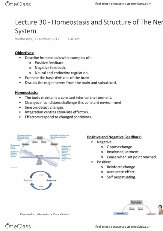 BM1022 Lecture Notes - Lecture 30: Thermoreceptor, Negative Feedback, Positive Feedback thumbnail