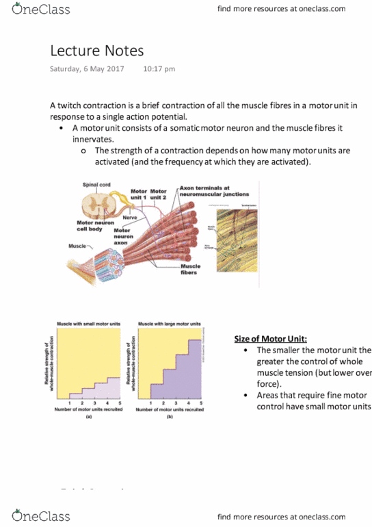 PC1001 Lecture Notes - Lecture 19: Motor Unit, Cardiac Muscle, University Of Manchester thumbnail