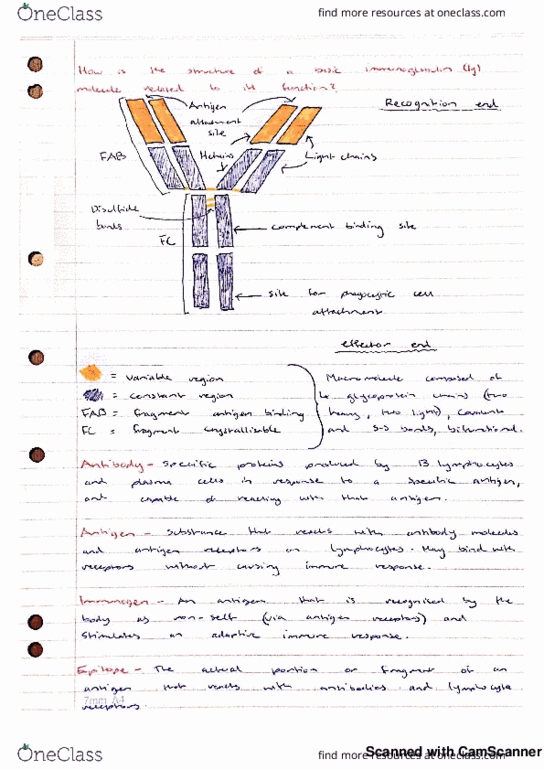 CXA321 Lecture 3: Immunology - Introduction thumbnail