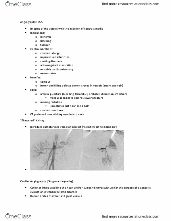MEDRADSC 3C03 Lecture Notes - Lecture 23: Cardiac Catheterization, Renal Artery, Angiography thumbnail