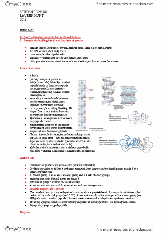 HUBS1403 Lecture Notes - Lecture 5: Carboxylic Acid, Hydrogen Bond, Dehydration Reaction thumbnail