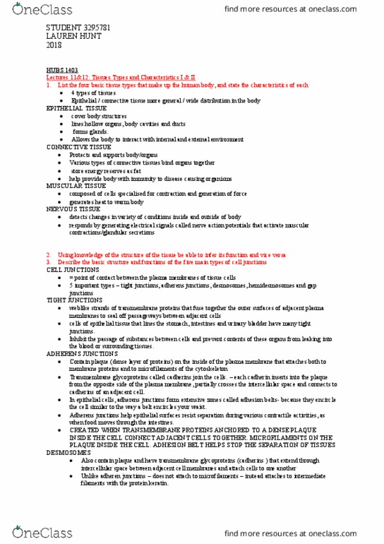 HUBS1403 Lecture Notes - Lecture 11: Adherens Junction, Tight Junction, Epithelium thumbnail