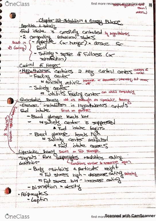 IPHY 3480 Lecture 3: Metabolism 7/12/18 thumbnail