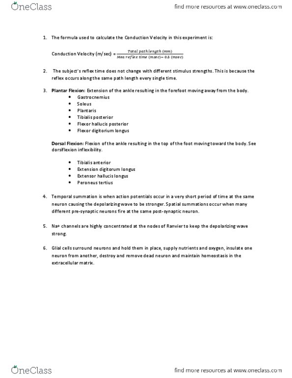 BIOL273L Lecture Notes - Homeostasis, Extensor Hallucis Longus Muscle, Tibialis Anterior Muscle thumbnail