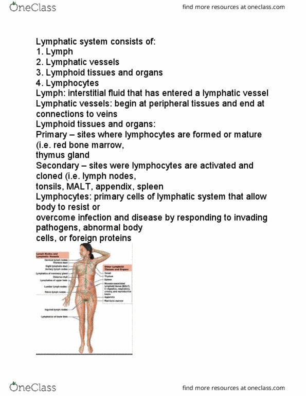 BIO210Y5 Lecture Notes - Lecture 1: Bone Marrow, Lymphatic Vessel, Thymus thumbnail