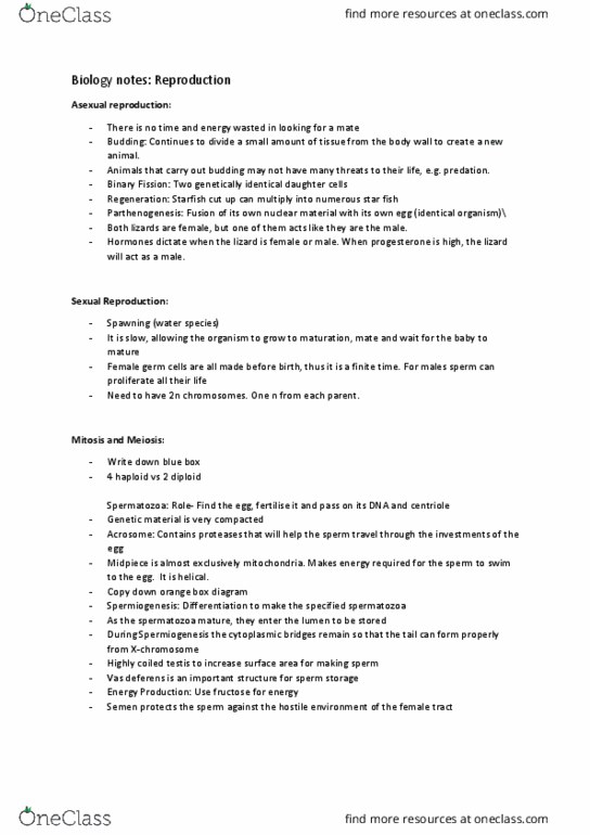 BIOL10002 Lecture Notes - Lecture 20: Vas Deferens, Spermiogenesis, Spermatozoon thumbnail