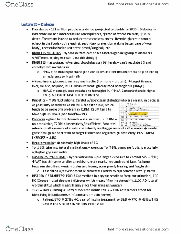 KNES 433 Lecture Notes - Lecture 20: Glycated Hemoglobin, Diabetic Coma, Insulin Resistance thumbnail