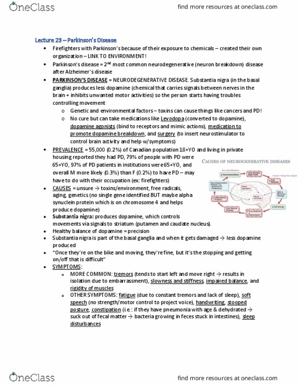 KNES 433 Lecture Notes - Lecture 23: Substantia Nigra, Basal Ganglia, Neurostimulation thumbnail