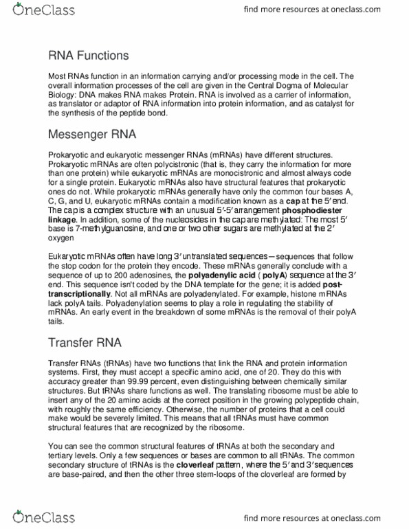 CH 461 Lecture Notes - Lecture 40: Messenger Rna, Polyadenylation, Cistron thumbnail