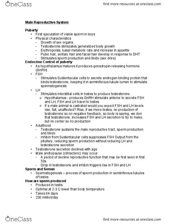 BIOL 1051H Lecture Notes - Lecture 3: Seminiferous Tubule, Basal Metabolic Rate, Underarm Hair thumbnail