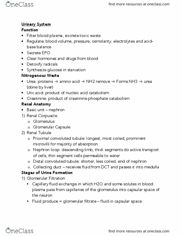 BIOL 1051H Lecture Notes - Lecture 5: Distal Convoluted Tubule, Proximal Tubule, Afferent Arterioles thumbnail