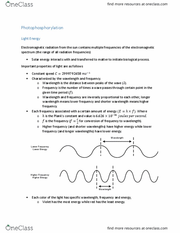 BIS 2A Lecture Notes - Lecture 16: Electromagnetic Radiation, Electromagnetic Spectrum, Photophosphorylation thumbnail