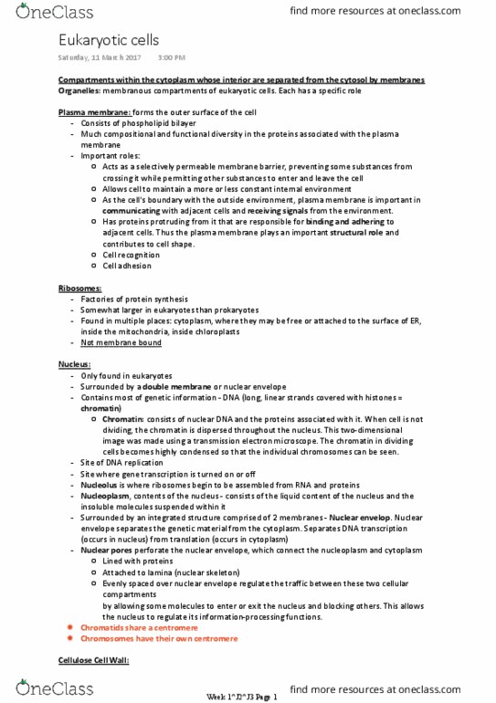 BIOL10002 Lecture Notes - Lecture 1: Nuclear Membrane, Transmission Electron Microscopy, Nuclear Dna thumbnail