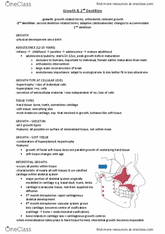 DENT3060 Lecture Notes - Lecture 17: Endochondral Ossification, Ossification, Skeleton thumbnail