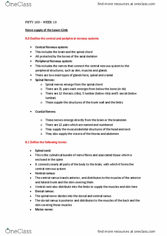 PHTY100 Lecture Notes - Lecture 11: Anterior Ramus Of Spinal Nerve, List Of Lumbar Nerves, Spinal Nerve thumbnail