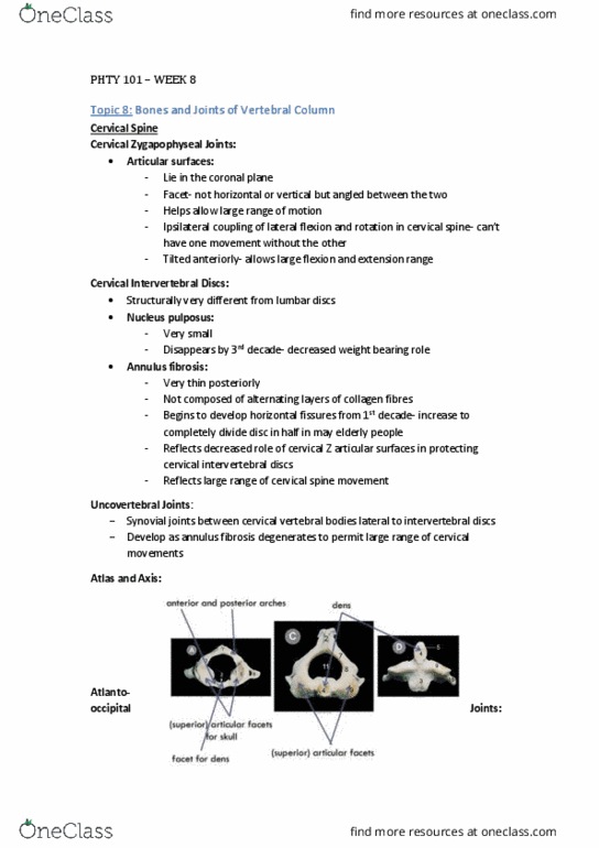 PHTY101 Lecture Notes - Lecture 8: Intervertebral Disc, Coronal Plane, Weight-Bearing thumbnail